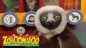 Zoboomafoo film complet