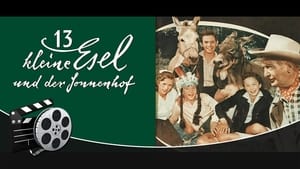 13 kleine Esel und der Sonnenhof