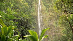 The Bible | StreamHub