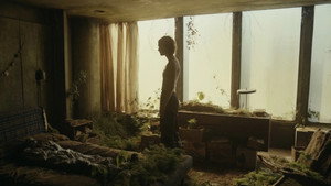 series image
