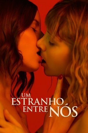 Um Estranho Entre Nós - Poster