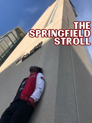 The Springfield Stroll 4