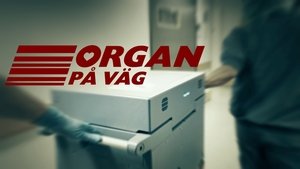 Episode 26