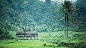 Wild Indonesia Islands of Monsters