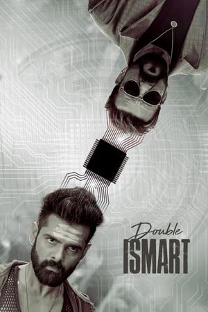 Double iSmart