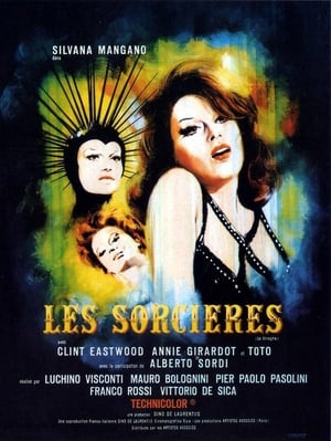 Image Les Sorcières