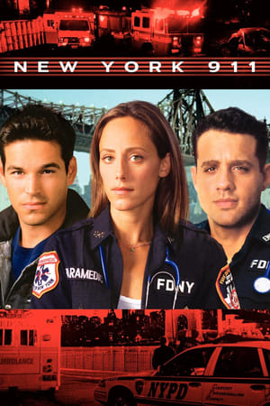 Poster New York 911 Saison 6 La Taupe 2004