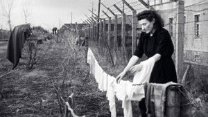 Les survivants, l’impossible départ après la Shoah 2026