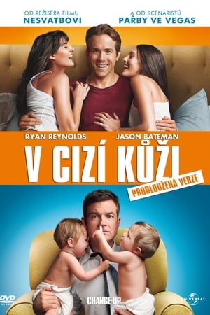 Poster V cizí kůži 2011