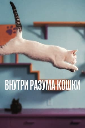 Poster Внутри разума кошки 2022