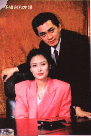 住别墅的女人 海报