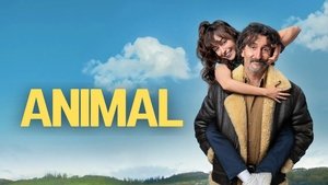 Animal