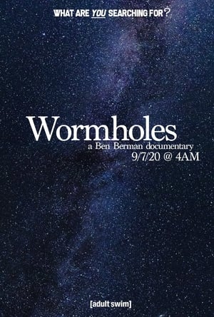 Wormholes 2020