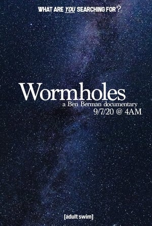 Poster Wormholes 2020