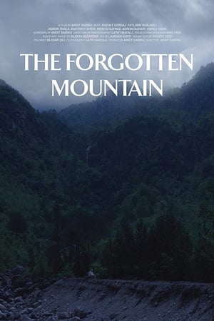 Poster The Forgotten Mountain (2018)