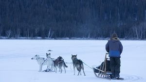 Life Below Zero The 11th Hour