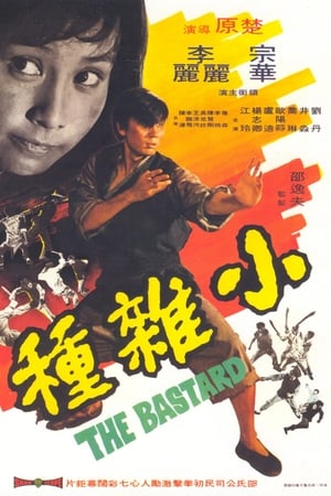 Poster Xiao za zhong 1973