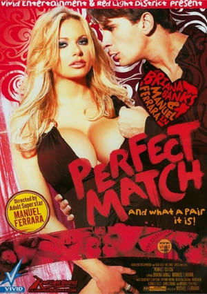 Poster Perfect Match (2008)