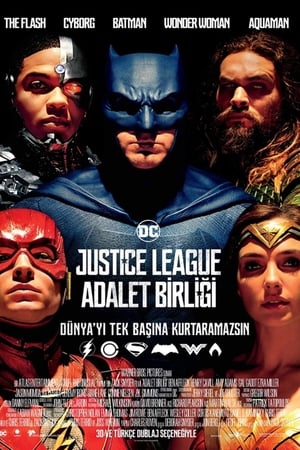 Justice League: Adalet Birliği (2017)