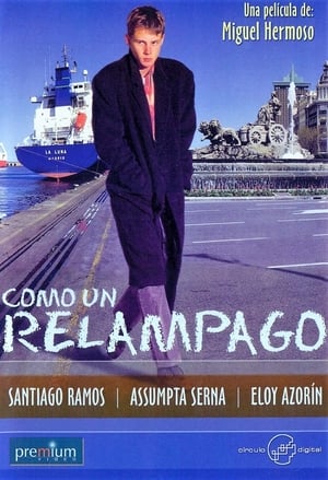 Poster Como un relámpago 1996