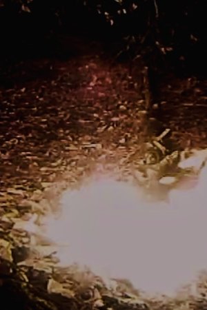 Nonton film A Fire's Poem (2023) terbaru sub indo Nonton film A Fire's Poem (2023) terbaru sub indo