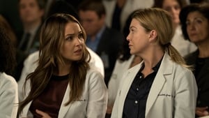 Grey’s Anatomy Season 14 Episode 20