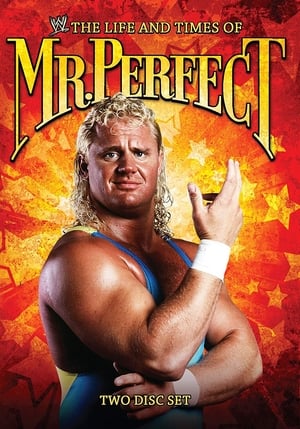 Poster The Life and Times of Mr. Perfect 2008