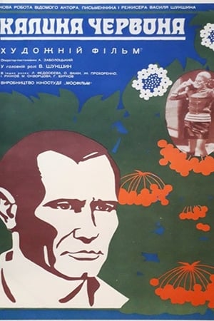 Poster Калина Красная 1974