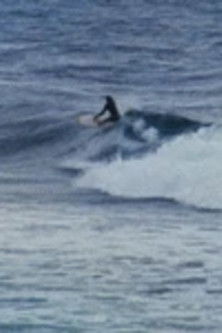 The Legend of Tibrogargan (2025)