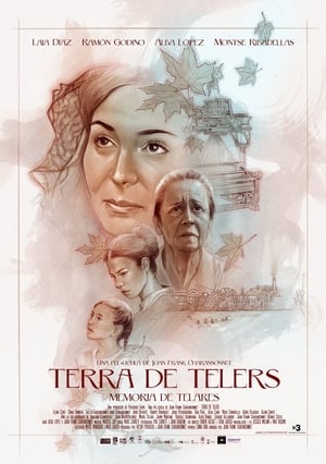 Poster Terra de telers (Memoria de telares) 2020