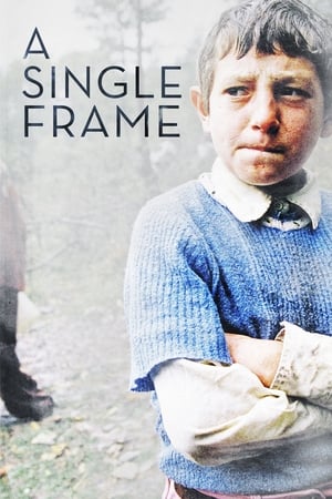 Poster A Single Frame 2015