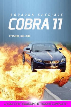 Squadra Speciale Cobra 11: Stagione 42