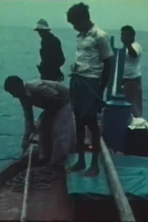Image Bateaux et modes de pêche aux Maldives