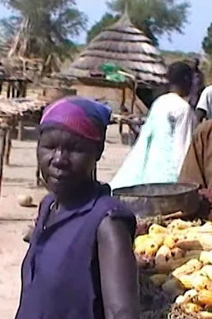 Abyei, the Bridge for Peace and Crucible of Harmony