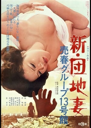 New Apartment Wife: Prostitution in Building #13 poster