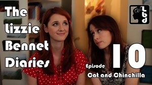 The Lizzie Bennet Diaries Cats and Chinchillas