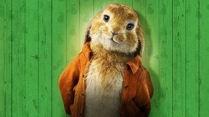 Peter Rabbit 2: Un birbante in fuga (2020)