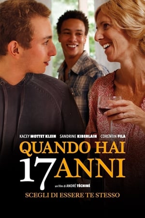 Poster Quando hai 17 anni 2016