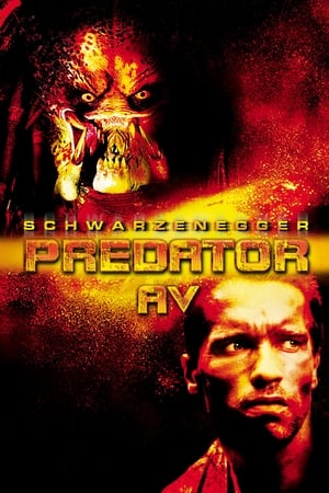 Predator