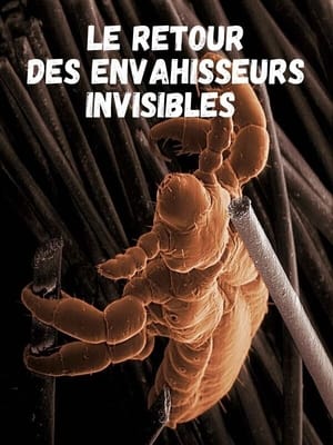 Image Le retour des Envahisseurs Invisibles