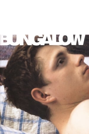 Poster Bungalow 2002