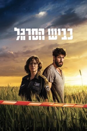 Image כביש הסרגל