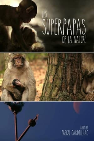 Poster Nature's Superdads 2015