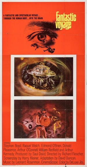 Fantastic Voyage Fantastic Voyage