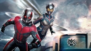 Ant-Man y la Avispa: Quantumania