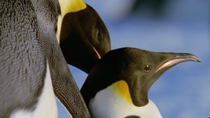 Frozen Planet: 1×4