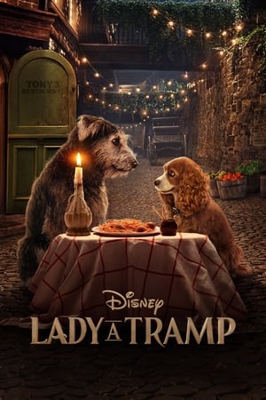 Poster Lady a Tramp 2019
