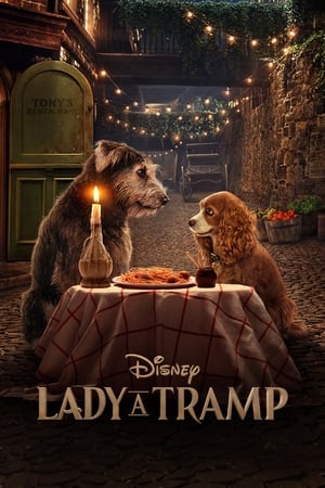 Image Lady a Tramp