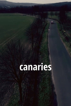 Canaries 2