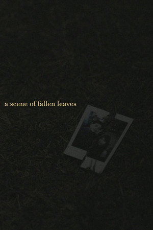 a scene of fallen leaves